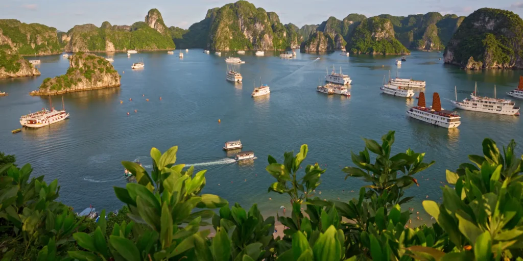 Scenic view of a bay with limestone islands, several cruise ships, and smaller boats on turquoise water. Lush green foliage frames the foreground.