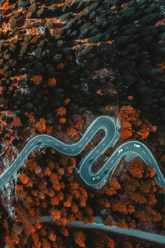 Aerial view of a winding road in Vietnam, surrounded by autumn forests with vibrant orange and green foliage. Cars navigate sharp curves, showing best way to travel within Vietnam, motion and adventure.