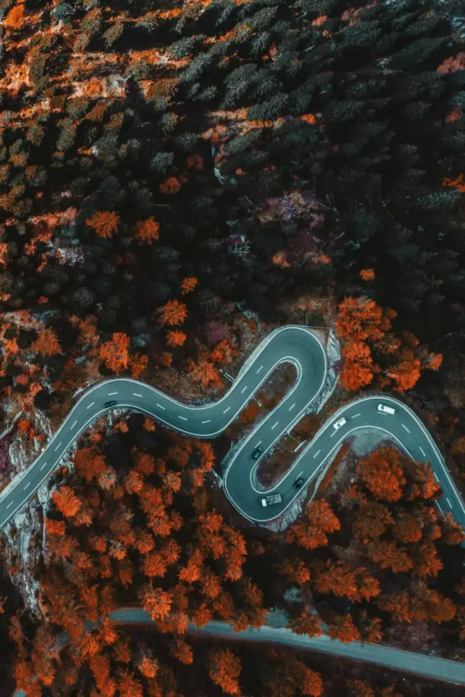 Aerial view of a winding road in Vietnam, surrounded by autumn forests with vibrant orange and green foliage. Cars navigate sharp curves, showing best way to travel within Vietnam, motion and adventure.