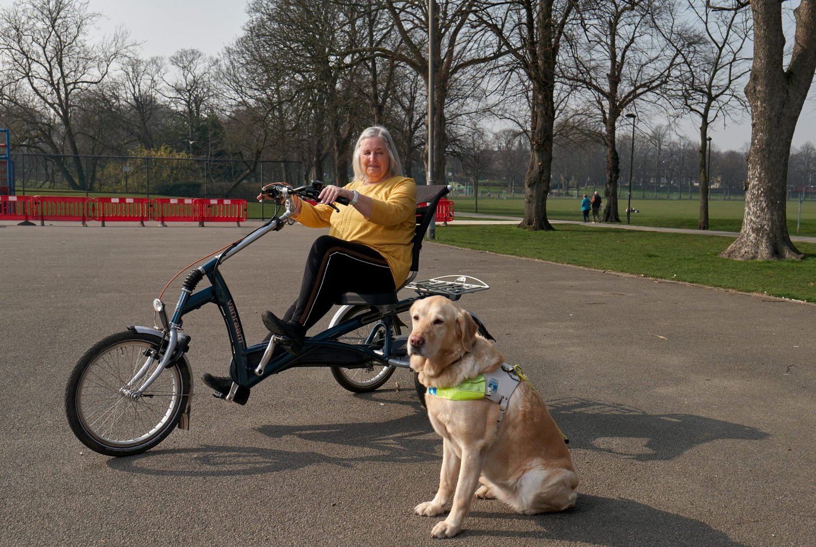 Lady in wheelchair with a service animal.